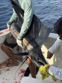 Another Great Day Fishing