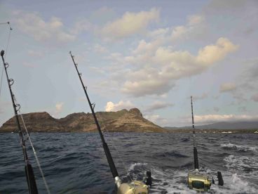 great trip lots of fish 