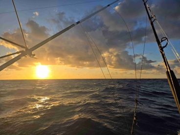 great trip lots of fish 