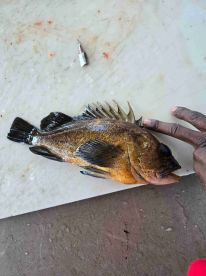 wonderful day out with captain Marcus 