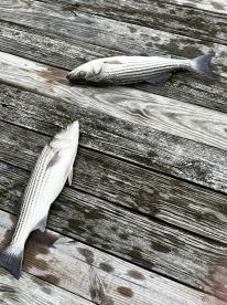 a good day fishing with friends