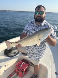 LOADS OF REDS 