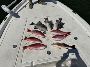 Great time fishing in Fort Morgan!