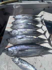 It was a crazy fishing experience 100 percent recommend!