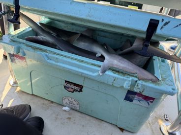 Convenient Fishing Charter 