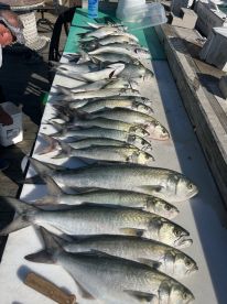 Amazing Fishing Trip