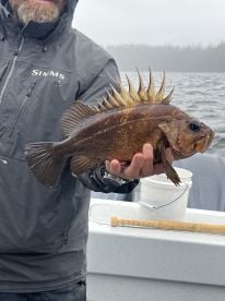 Excellent Excursion In Ketchikan 