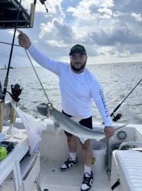 La tiburon 