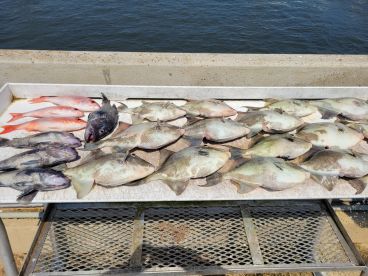 Great offshore trip!