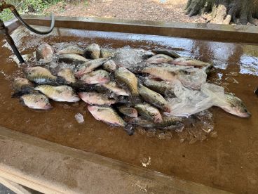 crappie trip