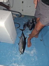 Know their stuff and we caught fish