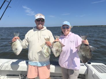 Big Trigger Fish!
