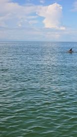 Bucket list moments on the Gulf