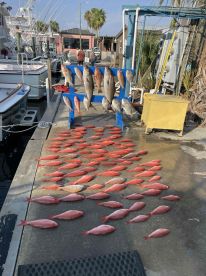 10 Hour Fishing Trip