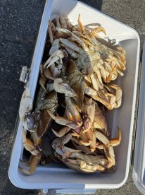 Crab Limits