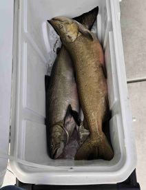 Memory making with my son, son in law, and 11 yo grandson.