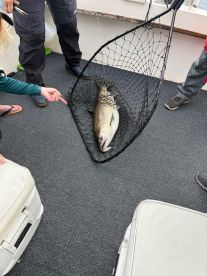 Outstanding Experience with Captain Dave and the Salmon Slayer Crew