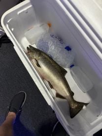 Outstanding Experience with Captain Dave and the Salmon Slayer Crew