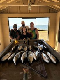 Amazing guide and trip!