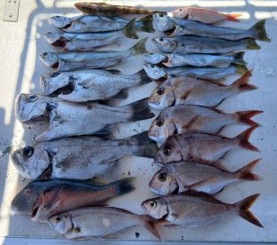 September fishing trip