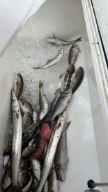 Great Boat Skipper and deckhand Rob