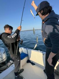 Holy Mackeral