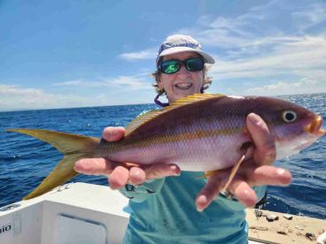 Great variety of snappers and grouper!!