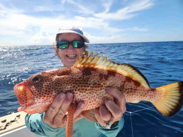 Great variety of snappers and grouper!!