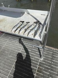 Second trip with TJ!