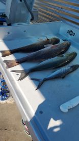 Great Day Fishing!