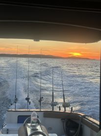 Hvar full day fishing with fish barbecue