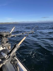 had a great time, great guide, and we got our limits!