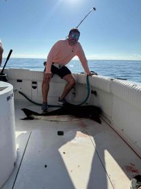 Great Catch!