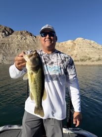 40 plus fish