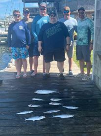 We Caught Fish
