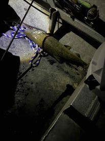 Great trip with Captain Ryan