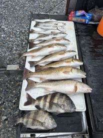 Great Fishing Trip! 
