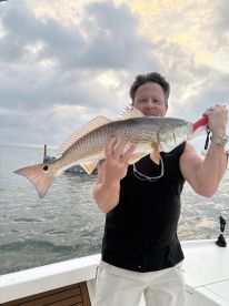 Hot bite early morning!