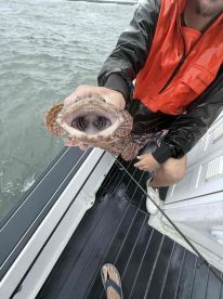 Captain Kevin was outstanding!