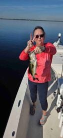 Great Florida Bass Fishing