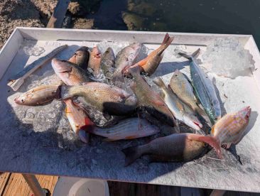 September fishing trip