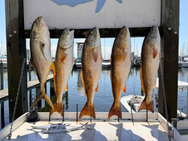 Perfect in Every Way