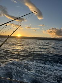 Mahi Mahi on the troll. Giant 40 lb. Trevally, gray snapper .z 