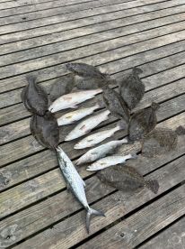 Fish on First Cast!