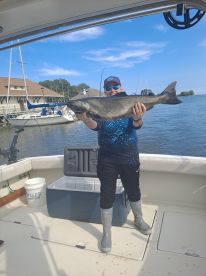 Prefect day of fishing. 