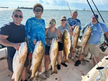 10 out of 10 experince 