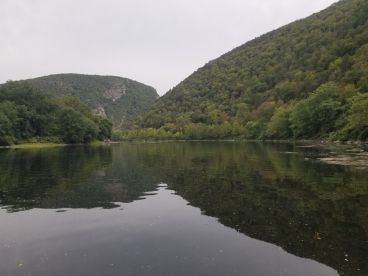 Highly recommend a trip with Captain Joe