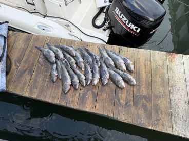 September fishing trip