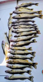 Nothing but the best \ud83d\udcaf\ud83c\udfa3