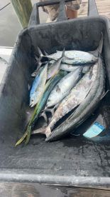 great fishing trip 